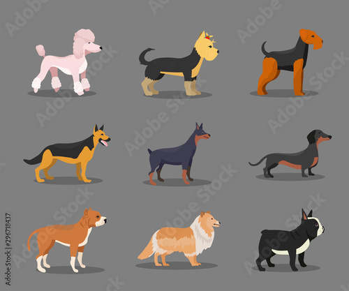 Different dog breeds flat vector illustrations set