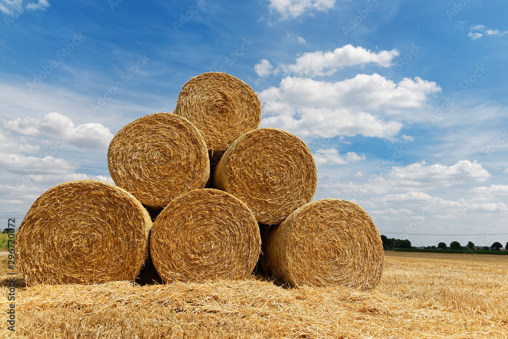 Rundballen aus Stroh liegen auf einem abgeernteten Getreidefeld