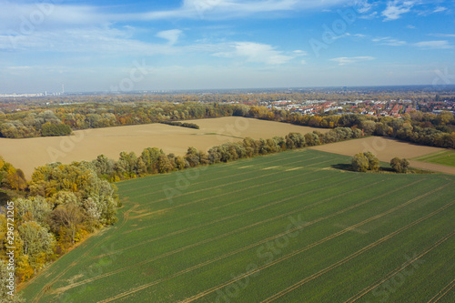 Green fields aerial view before harvest at autumn. Aerial view of agricultural field. Background image of lush grass field under blue sky.