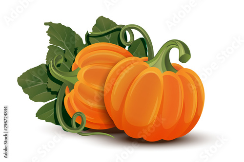 Pumpkins with leaves isolated on white background