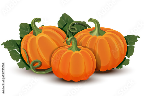 Pumpkins with leaves isolated on white background