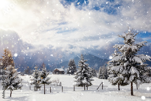 Scenic winter landscape with snowy fir trees and small cottage. 