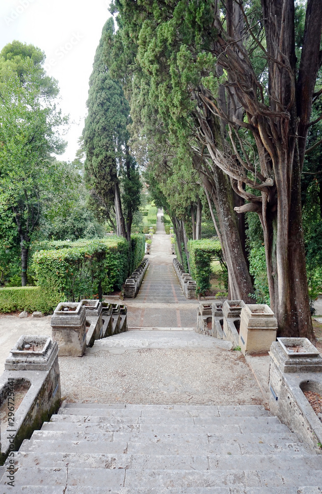 Long straight stairway descending in an old park