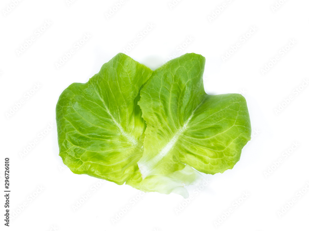 butterhead lettuce leaf on white background butterhead lettuce leaf on white background