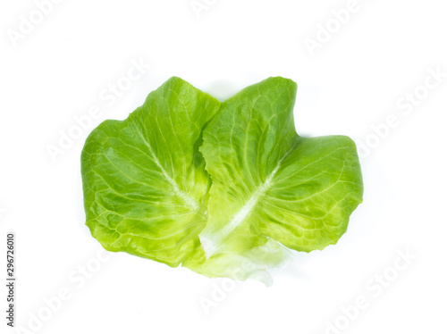 Obraz na plátně butterhead lettuce leaf on white background