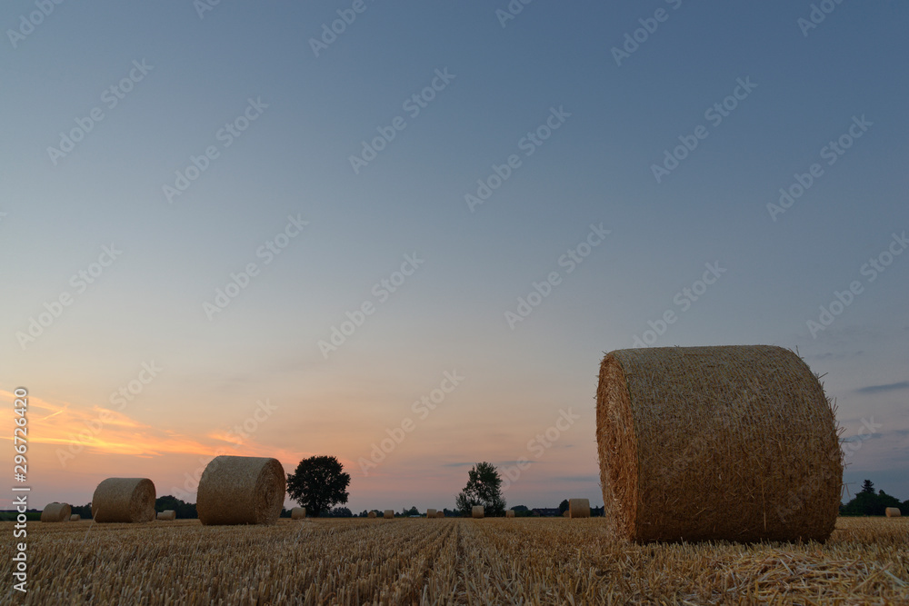 Rundballen aus Stroh auf einem Getreidefeld im Abendlicht