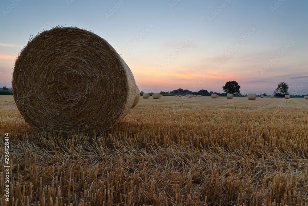 Rundballen aus Stroh auf einem Getreidefeld im Abendlicht Rundballen aus Stroh auf einem Getreidefeld im Abendlicht