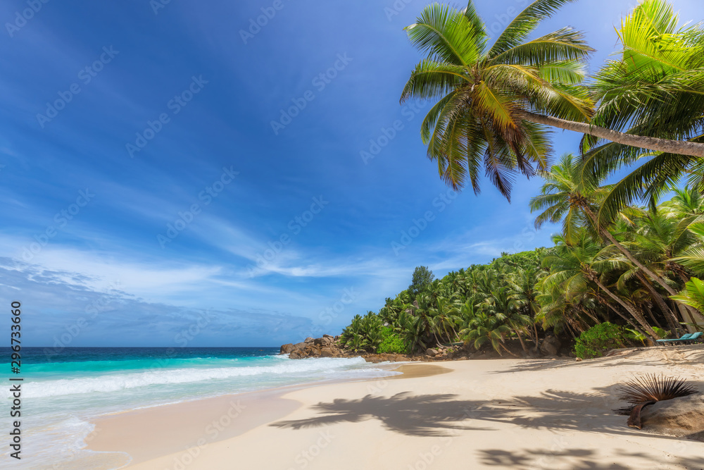 Paradise beach. Sunny beach with palm and turquoise sea. Summer vacation and tropical beach concept.
