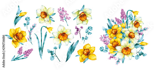 Set of daffodils, leaves, twigs