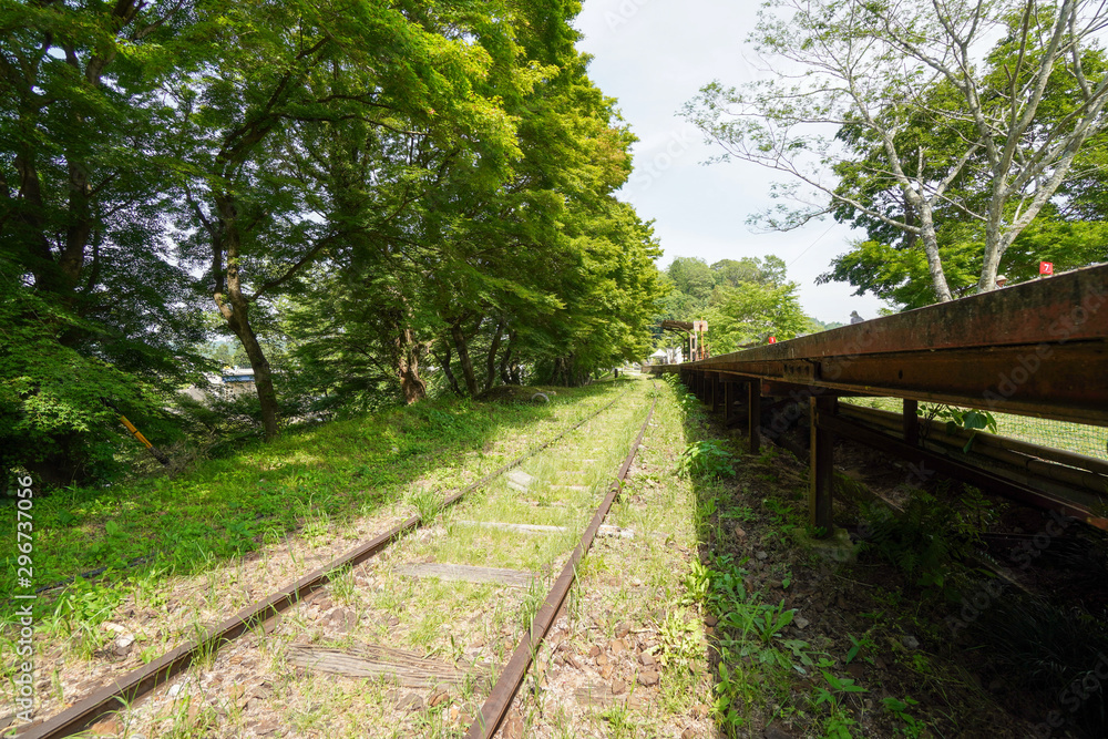 Fototapeta premium 三河広瀬駅., 愛知, 豊田市, 東広瀬町, 廃駅, 駅, みかわひろせ, mikawa hirose, 5月, 線路, 廃線