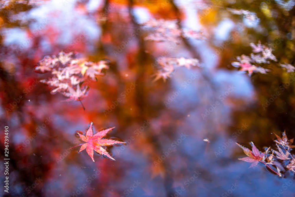 紅葉と水面の映り込み 秋イメージ 紅葉と水面の映り込み 秋イメージ
