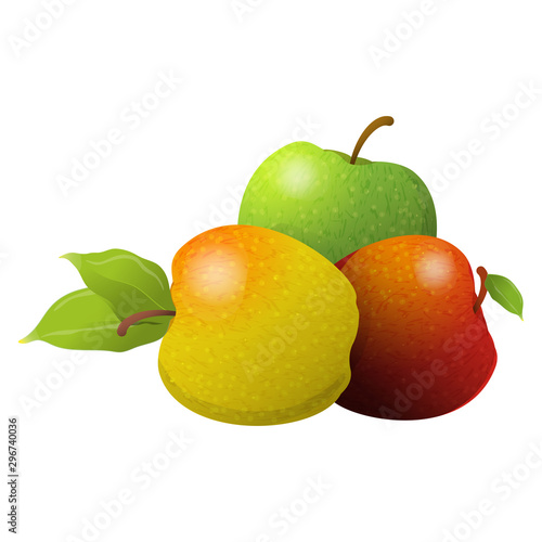 Vector cartoon element for design. Three delicious apples with stem and leaves, fruit design. Photo Realistic illustration of healthy vegetarian food. Perfect for grocery store, drinks and more