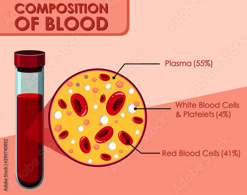 Diagram showing composition of blood