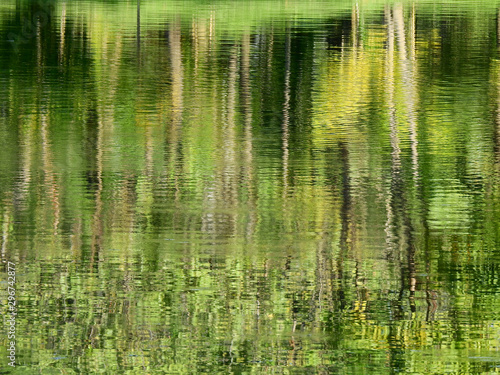 abstract reflection of spring tree on water in the pond