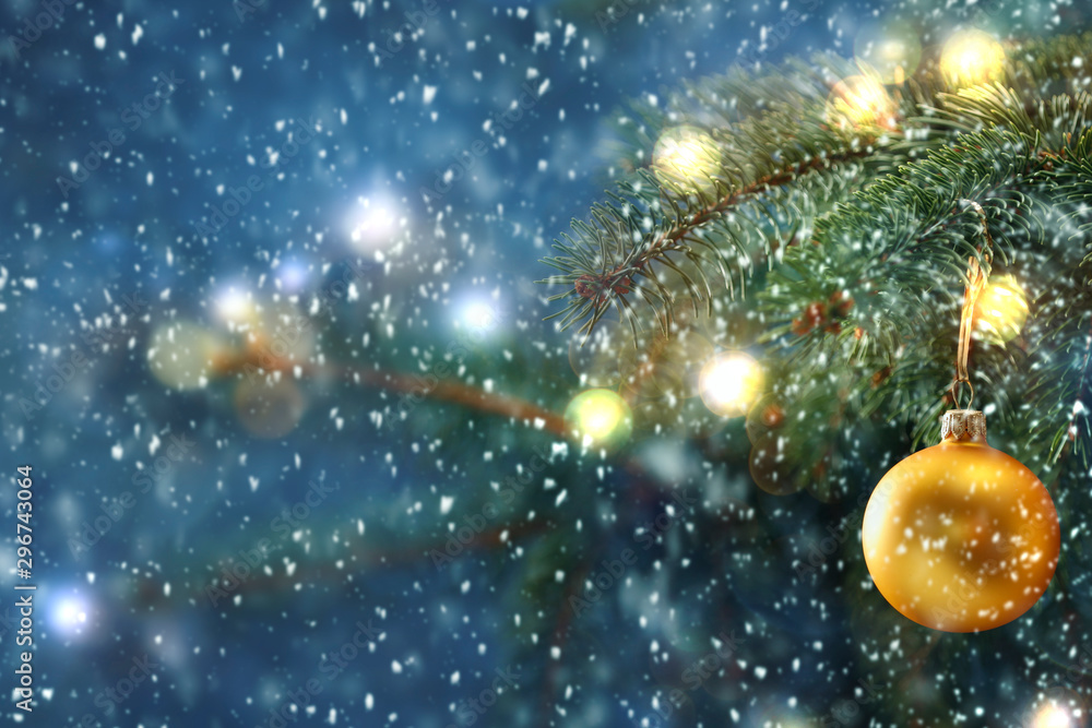 Christmas tree background and free space for your decoration Christmas tree background and free space for your decoration