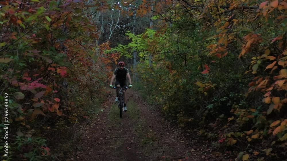 man riding bicycle in beautiful autumn forest man riding bicycle in beautiful autumn forest