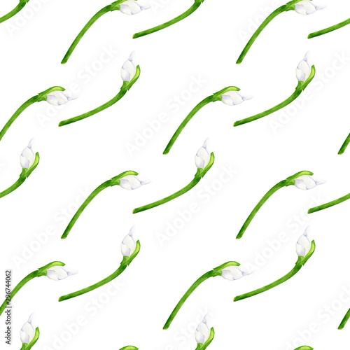 Watercolor green stems with white flower buds seamless pattern. Hand drawn plants isolated on white background. Floral elements for design, decoration, cards, textile, invitations, wedding