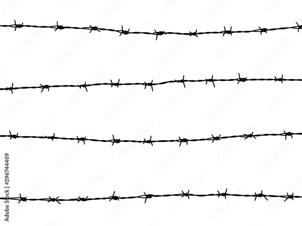 barbed wire of fence on white background - obrazy, fototapety, plakaty 