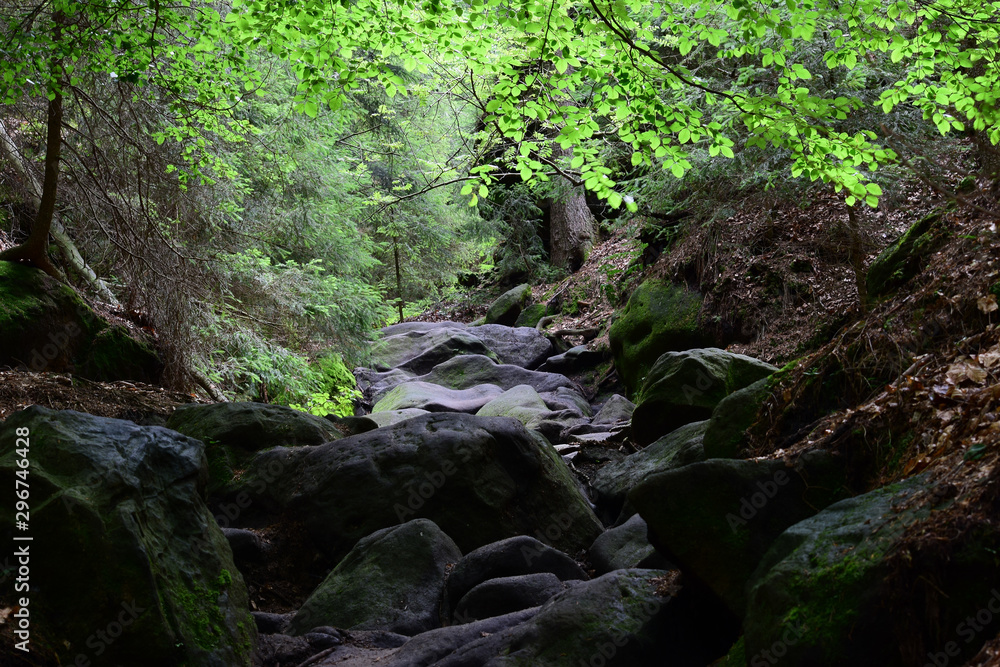 landscape and wildlife and city