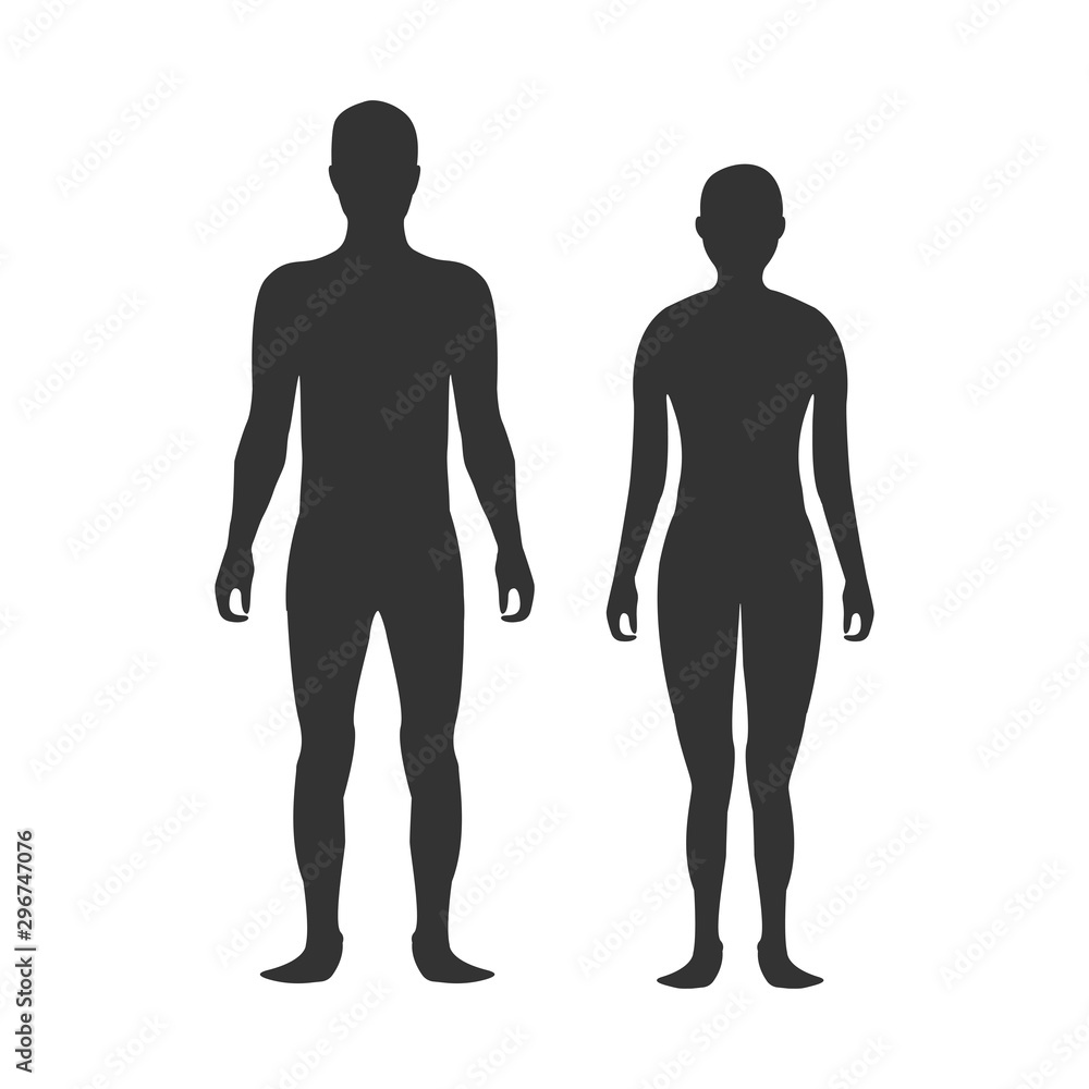 Male and female body silhouette template. Body silhouettes icon for medicine. - obrazy, fototapety, plakaty 