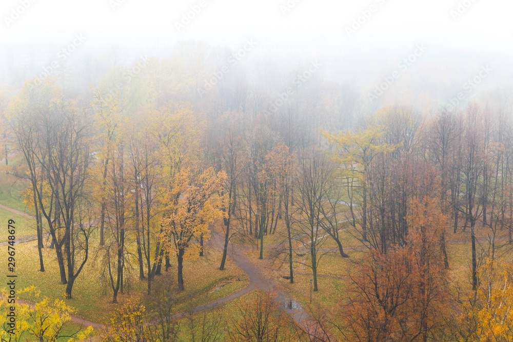 Fototapeta premium Autumn park in fog. Top view. Isolated on white. Fall landscape.