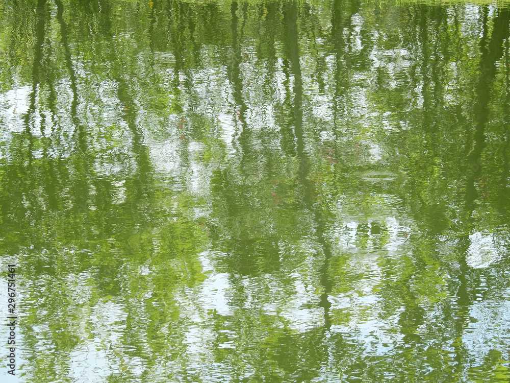 abstract reflection of spring tree on water in the pond abstract reflection of spring tree on water in the pond
