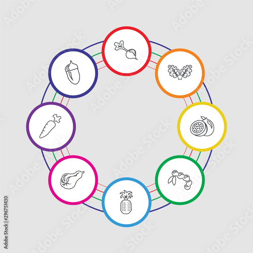 8 colorful stroke icons set included mangosteen, horseradish, carambola, pineapple, tamarind, passion fruit, salad, beetroot