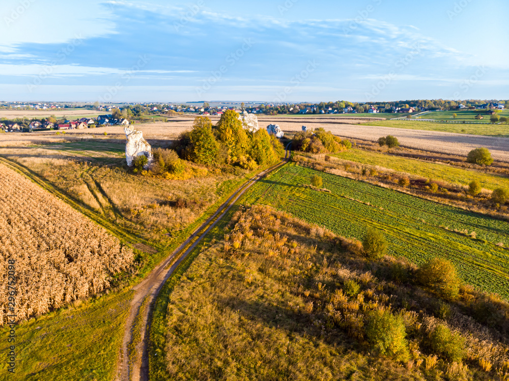Shots from the drone showing the vast green fields and meadows of the Cracow-Częstochowa highlands. Aerial view of limestone rock formations located near Krakow in Poland. Kraków-Częstochowa Jura.