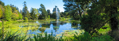 Lake with fontain in the green garden park during summer