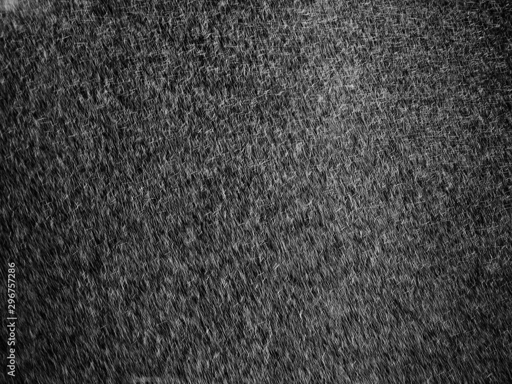 Fototapeta premium rain on black background