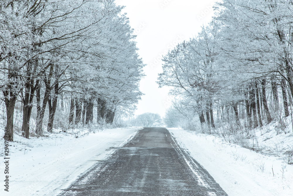 Rural asphalt road with trees covered up in hoar frost.