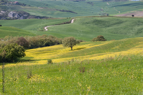 Wallpaper Mural Farm in Toscany, Italy. Torontodigital.ca