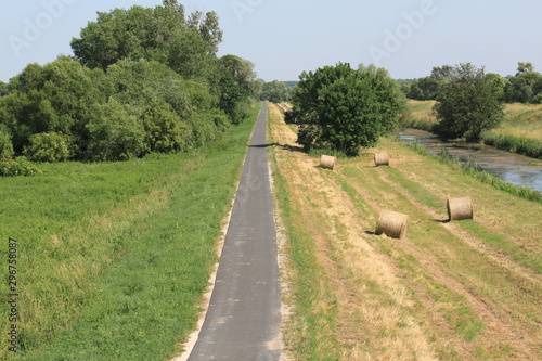 Ein feldweg führ zwischen felden, zwei grüne bäume sind auch zu sehen photo