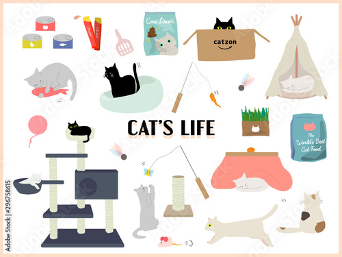 everyday cat products and supplies