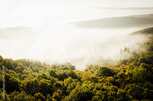 paysage de Saint-Romain en côte-d'Or dans le brouillard et la brume