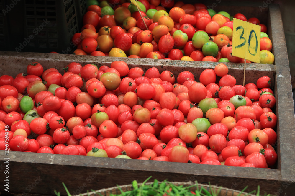 Many fresh tomatoes are placed on the tray. That is sold in the local fresh market Many fresh tomatoes are placed on the tray. That is sold in the local fresh market