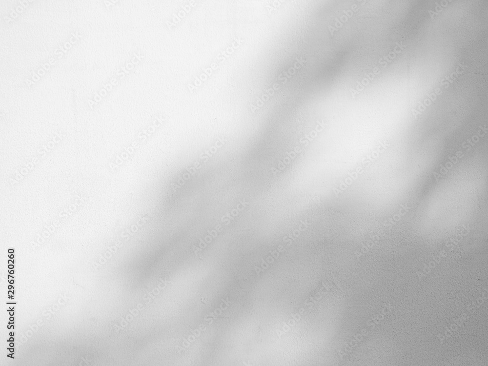 abstract shadow of the leaves on a white wall background