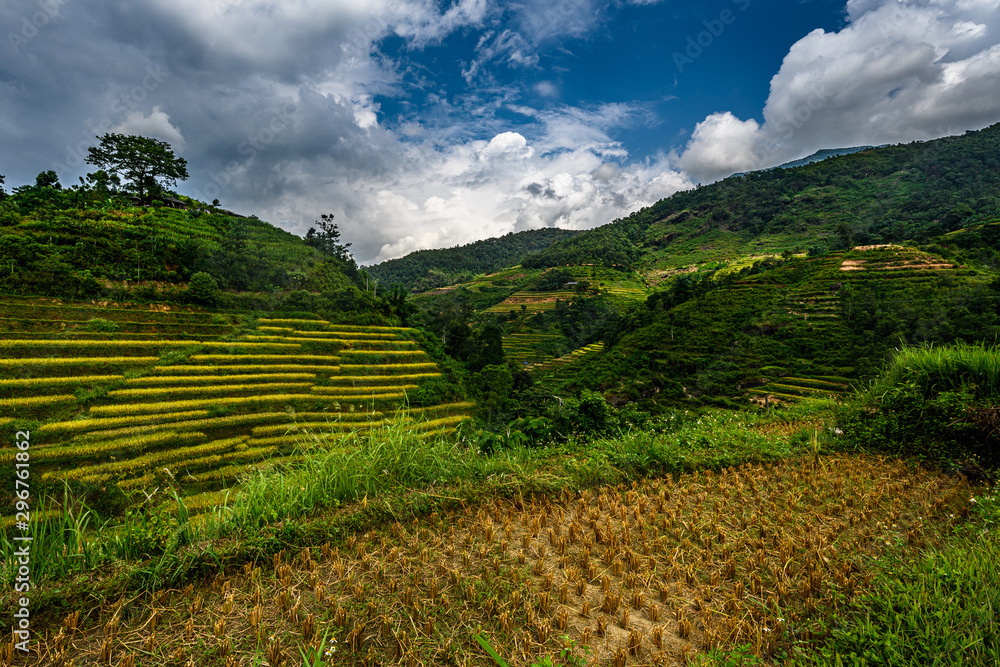 Mu Cang Chai, landscape terraced rice field near Sapa, northern Vietnam