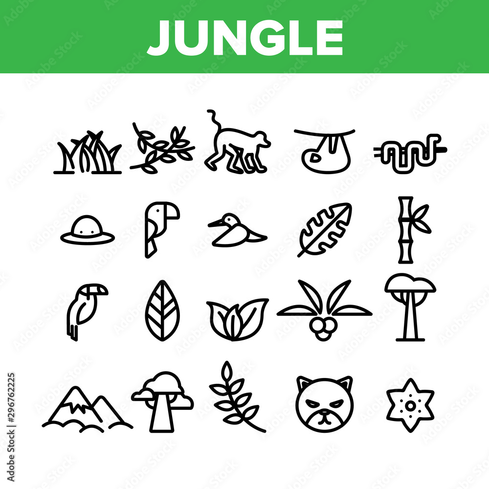 Jungle Forest Collection Elements Icons Set Vector Thin Line. Jungle Animal And Plants, Monkey And Snake, Parrot And Wild Cat Concept Linear Pictograms. Wildlife Monochrome Contour Illustrations