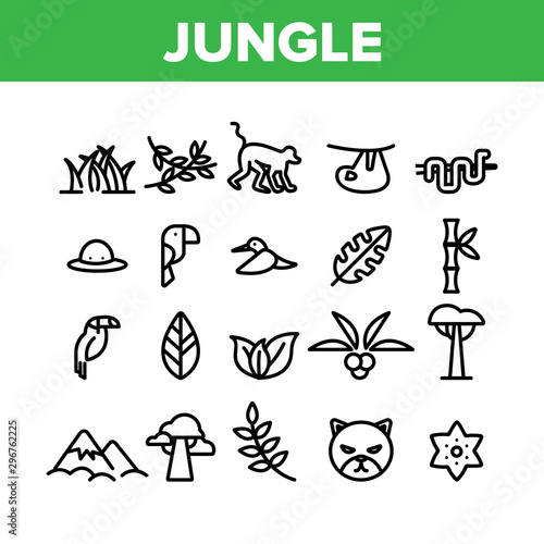 Fototapeta Naklejka Na Ścianę i Meble -  Jungle Forest Collection Elements Icons Set Vector Thin Line. Jungle Animal And Plants, Monkey And Snake, Parrot And Wild Cat Concept Linear Pictograms. Wildlife Monochrome Contour Illustrations
