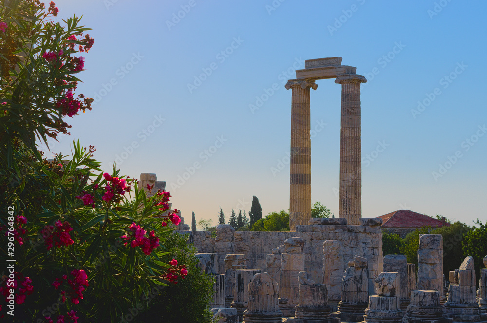 Ruins of the temple of Apollo in Didim, Turkey