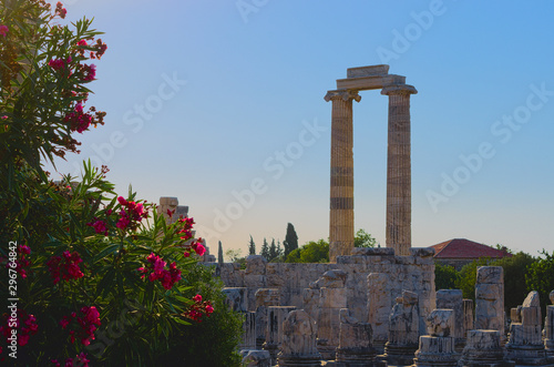 Ruins of the temple of Apollo in Didim, Turkey