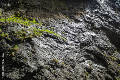 Rock cliff with green grass and sunlight in Aare Gorge (Aareschlucht) for background, Meiringen, Switzerland