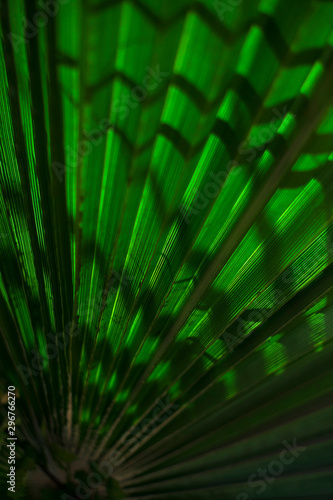 abstract green background © akoves