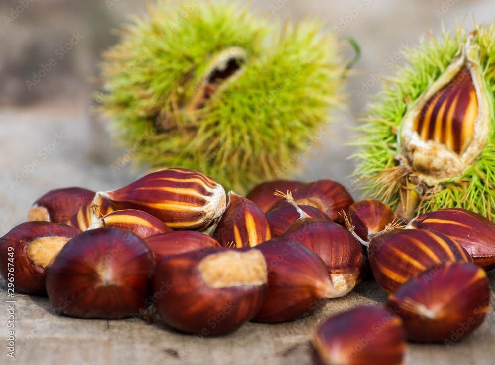 sweet chestnuts and husks on wooden background sweet chestnuts and husks on wooden background