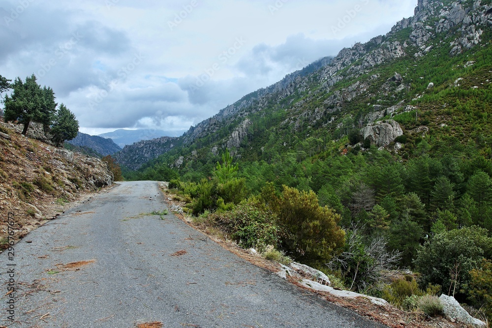 Corsica-road in pass Restonica