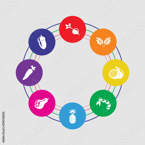8 colorful round icons set included mangosteen, horseradish, carambola, pineapple, tamarind, passion fruit, salad, beetroot