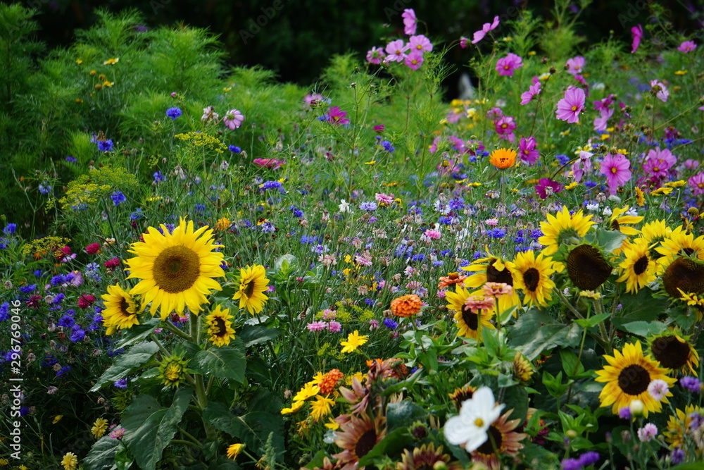 Obraz premium Flower garden