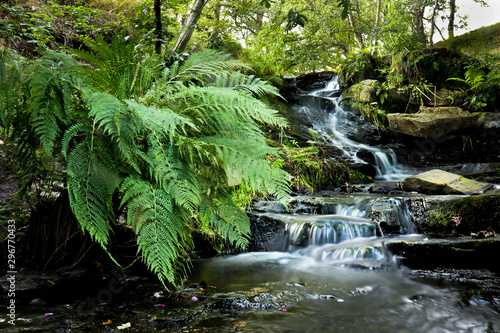 Fotografie waterfall in the forest dolly folly falls yorkshire
