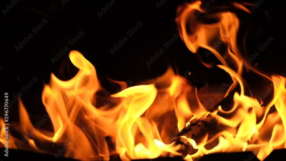 Burning fire. Bonfire. Closeup of flames burning on black background, slow motion Burning fire. Bonfire. Closeup of flames burning on black background, slow motion